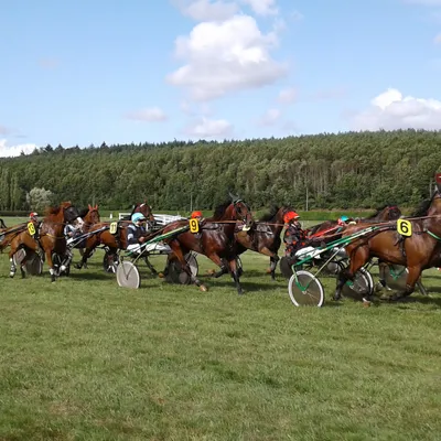 Les pronostics hippiques pour ce samedi 7 septembre